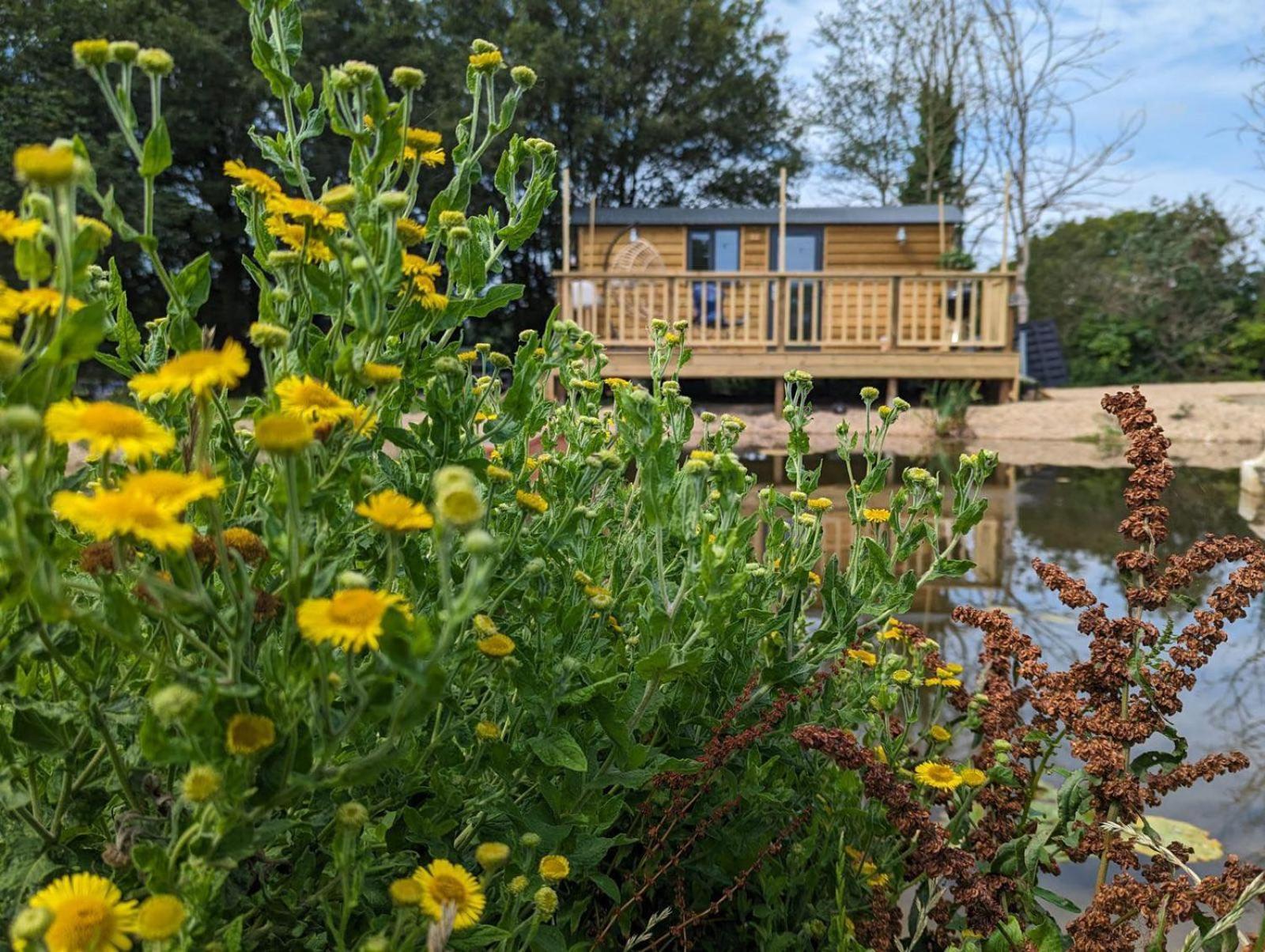 Rusty Duck Retreat Shepherds Hut Shedfield Luaran gambar