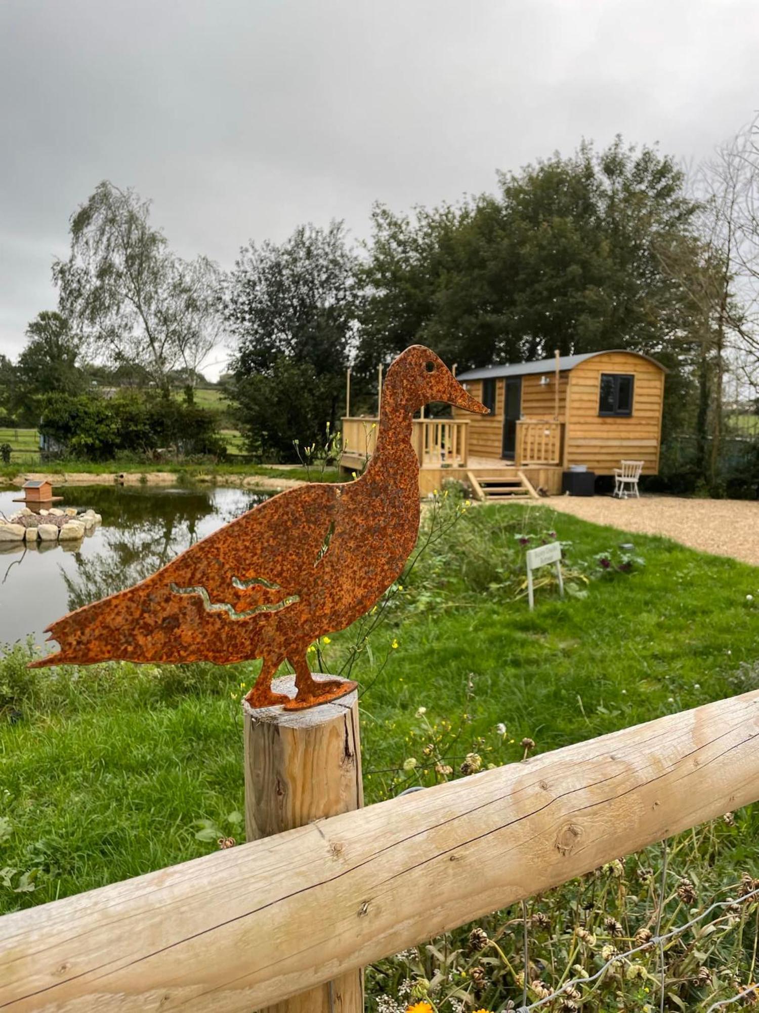 Rusty Duck Retreat Shepherds Hut Shedfield Luaran gambar